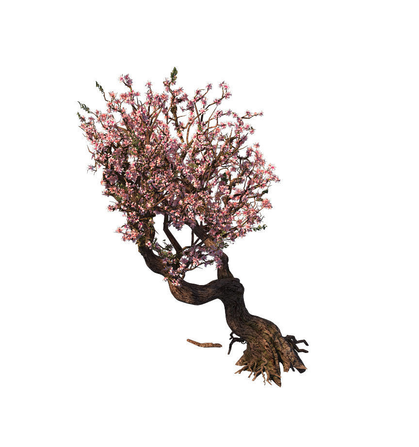 Tree - wonderful fantasy - peach tree 01 3D model_7