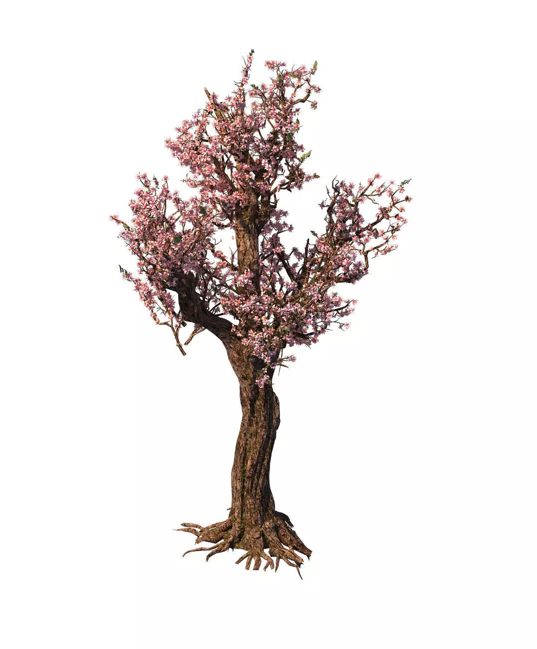 Tree - wonderful fantasy - peach tree 01 3D model_0