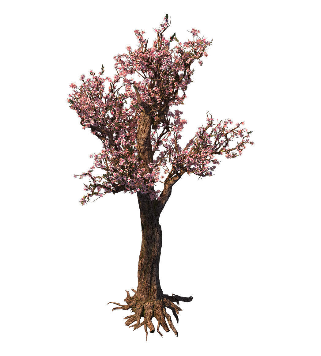 Tree - wonderful fantasy - peach tree 01 3D model_2
