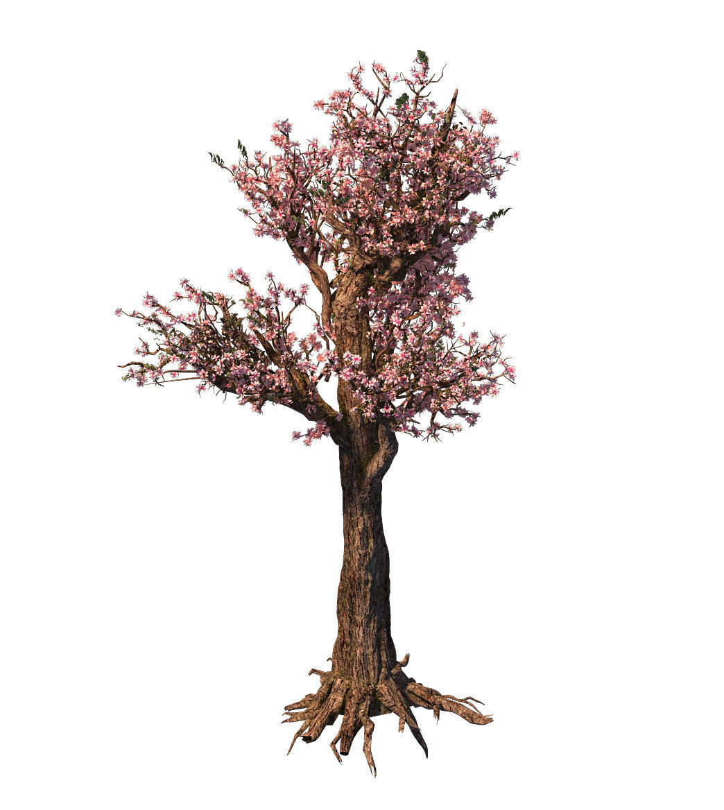 Tree - wonderful fantasy - peach tree 01 3D model_4