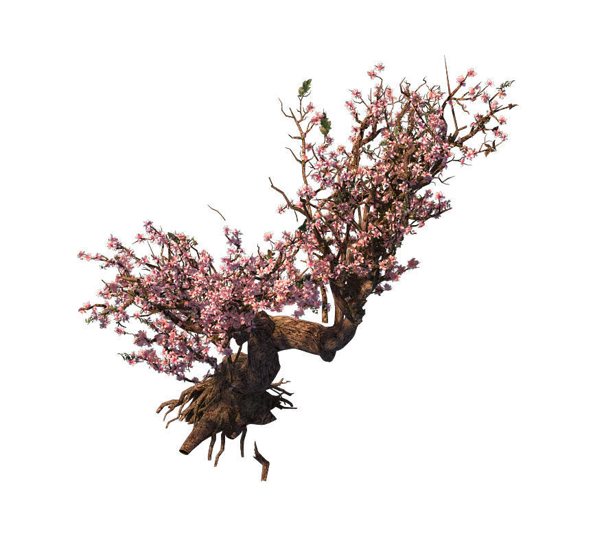 Tree - wonderful fantasy - peach tree 01 3D model_1