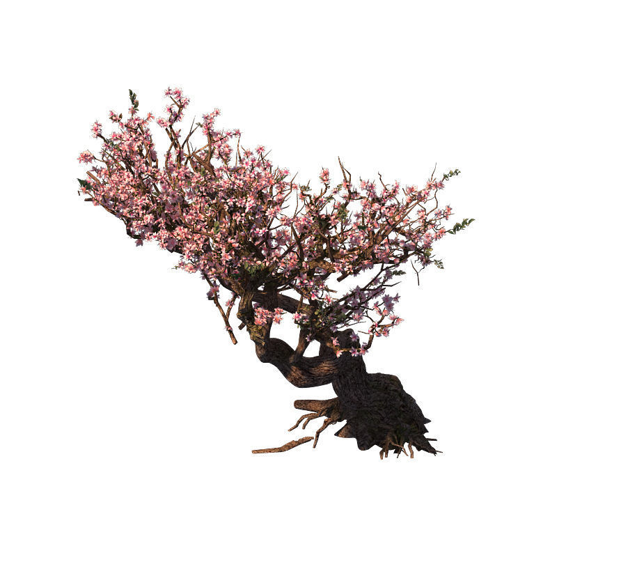 Tree - wonderful fantasy - peach tree 01 3D model_5