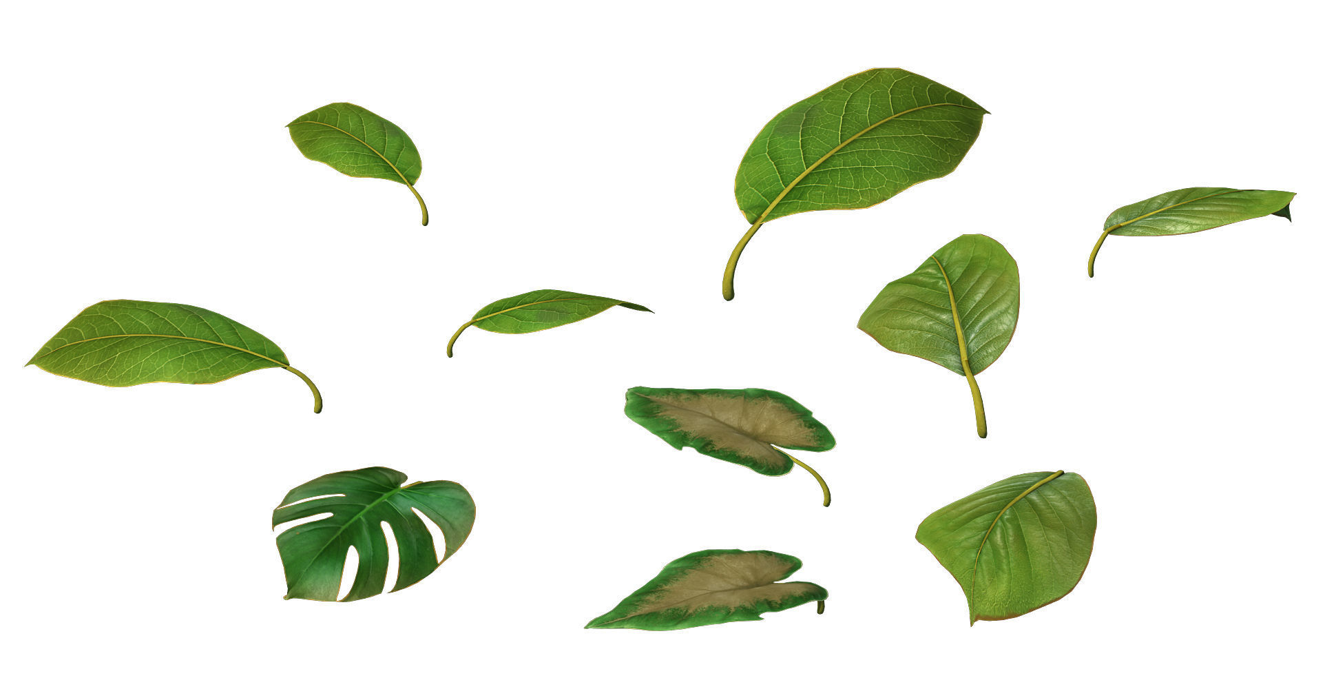 Trees - leaves 03 3D model_6