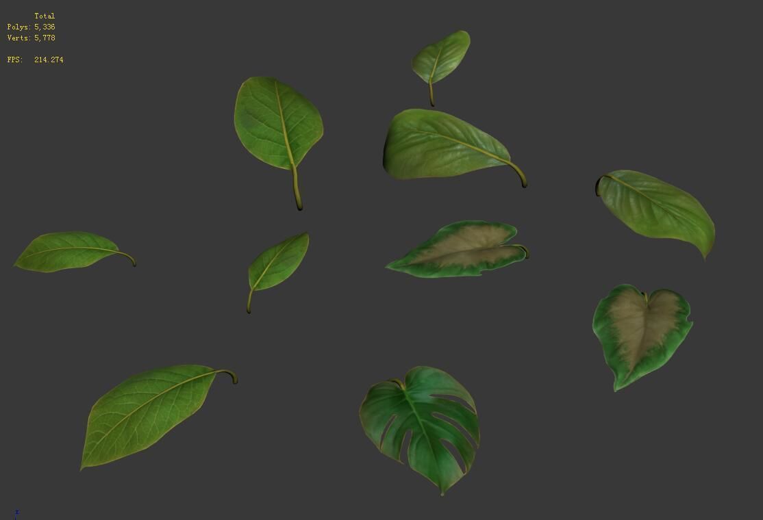 Trees - leaves 03 3D model_9
