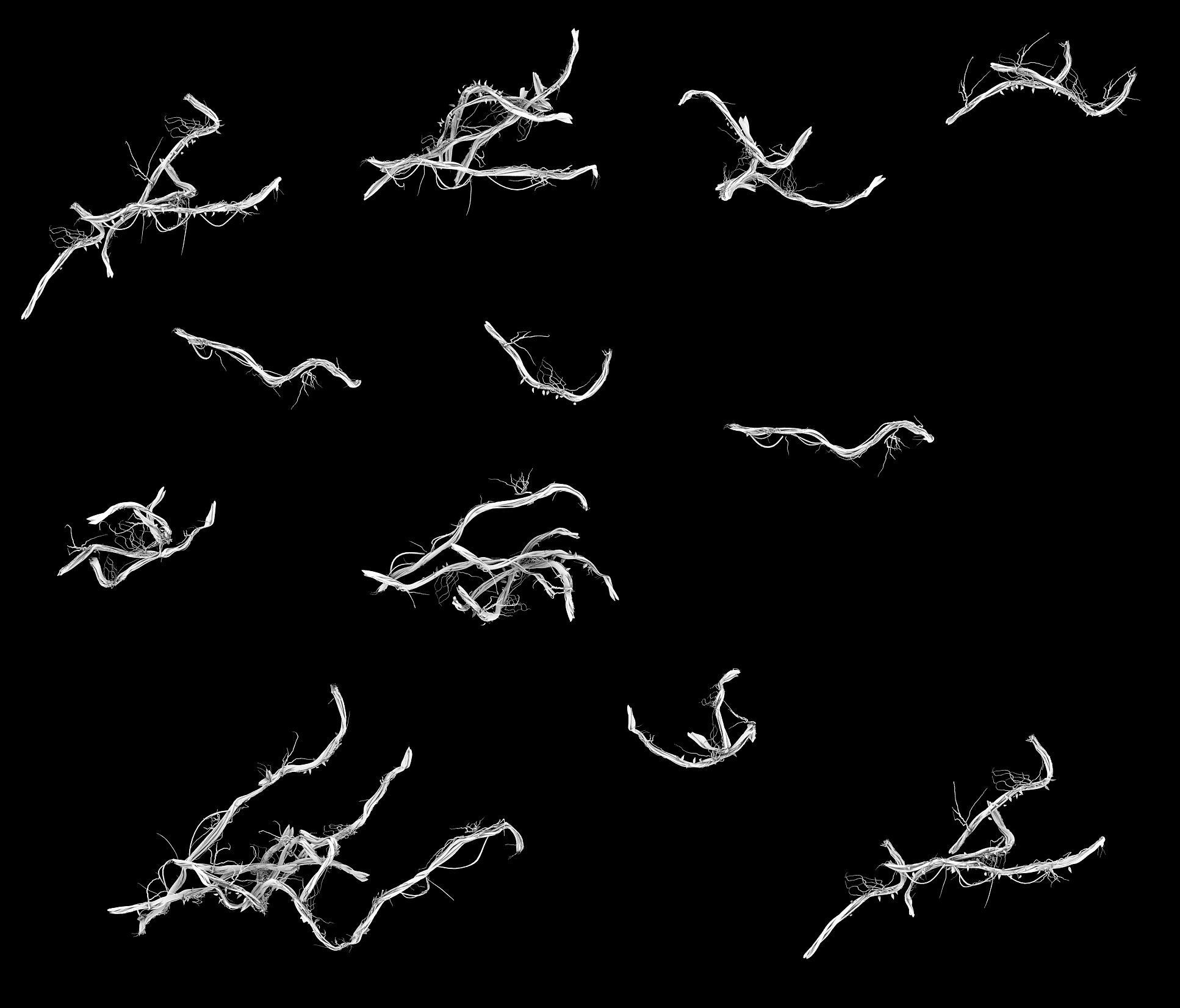 Big Trees - Vines 03 3D model_3