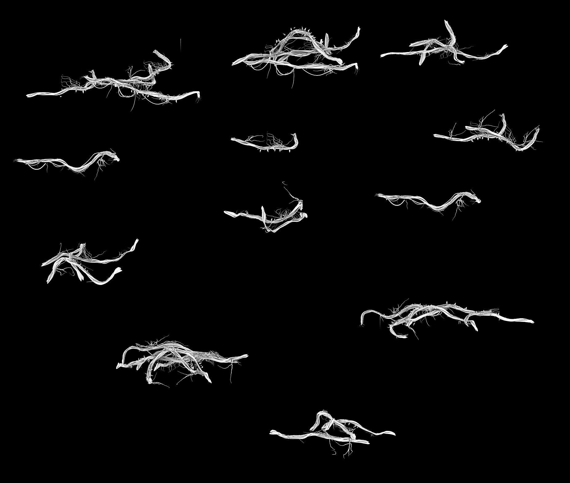 Big Trees - Vines 03 3D model_6