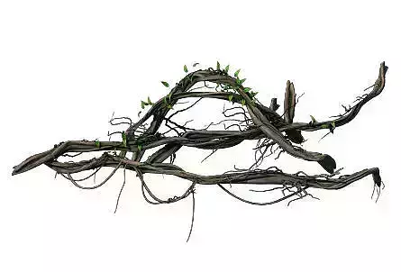 Big Trees - Vines 03 3D model