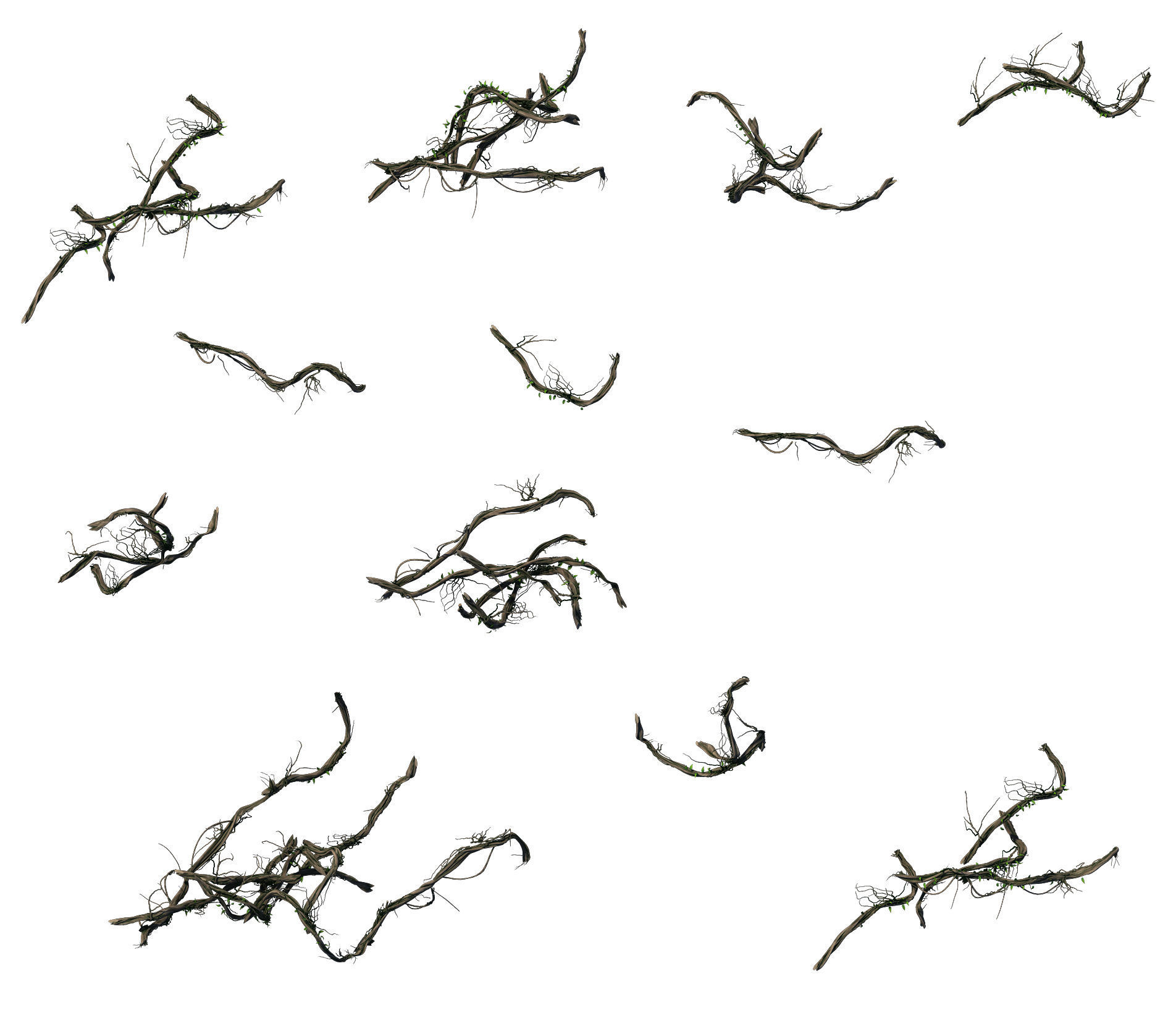 Big Trees - Vines 03 3D model_4