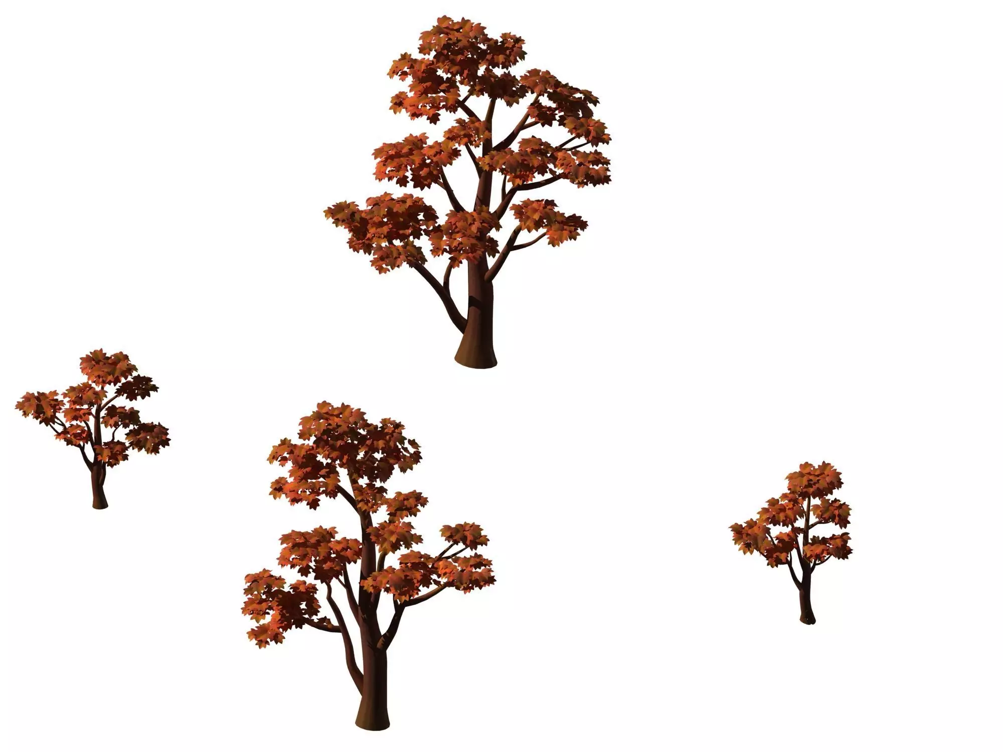 Large maple 61 3D model_0