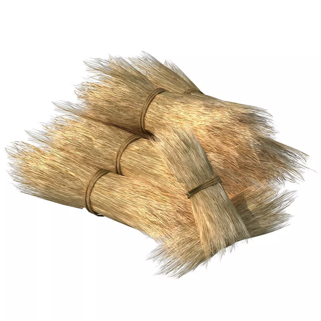 Straw 05 3D model_0