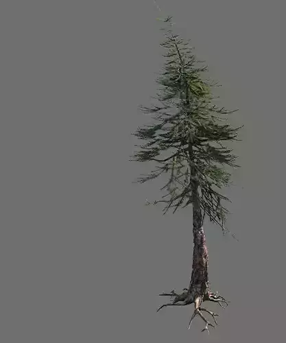 Game Model - Alpine - Pines 02