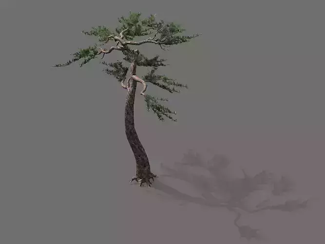 Game model - Alpine - Pine 03