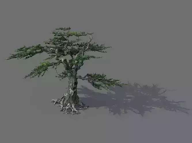 Game Model - Alpine - Pines 04