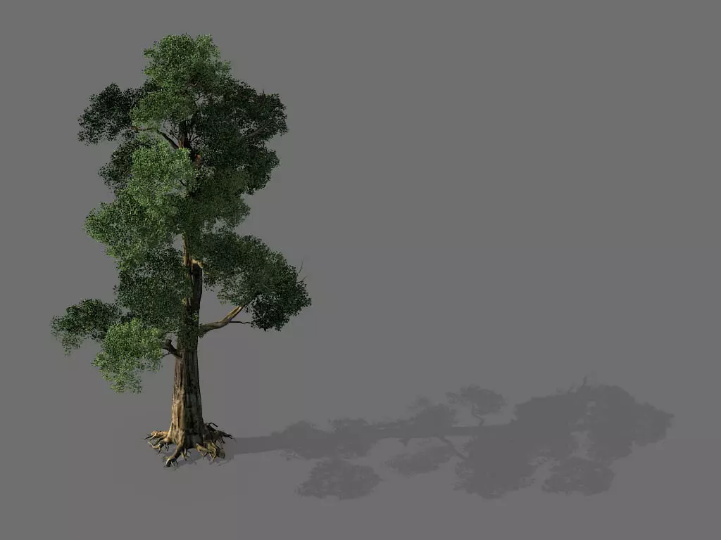 Game model - Alpine - Pine 05 3D model_0