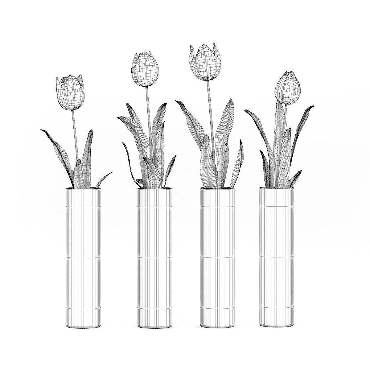 Four Tulips in Glasses 3D model_3