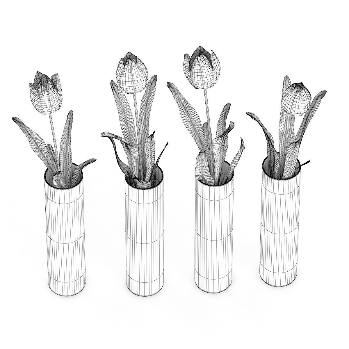 Four Tulips in Glasses 3D model_5