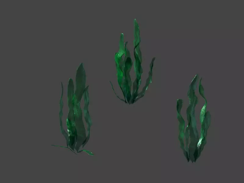 Game model - seabed - kelp 3D model_0