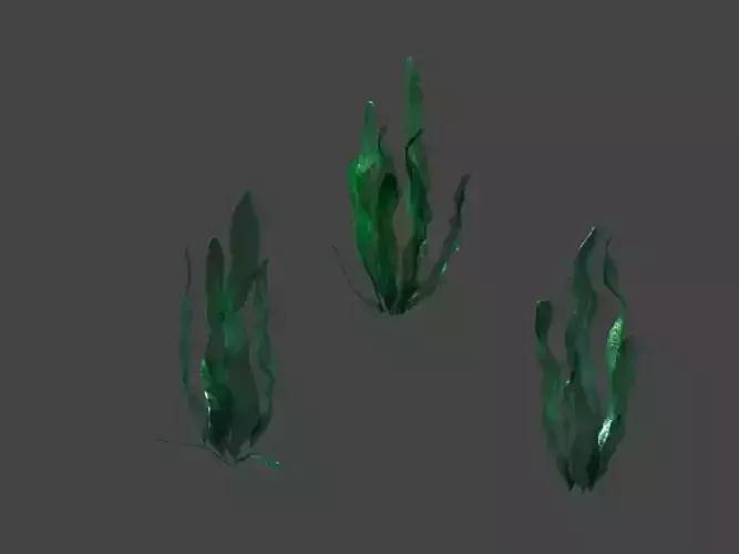 Game model - seabed - kelp