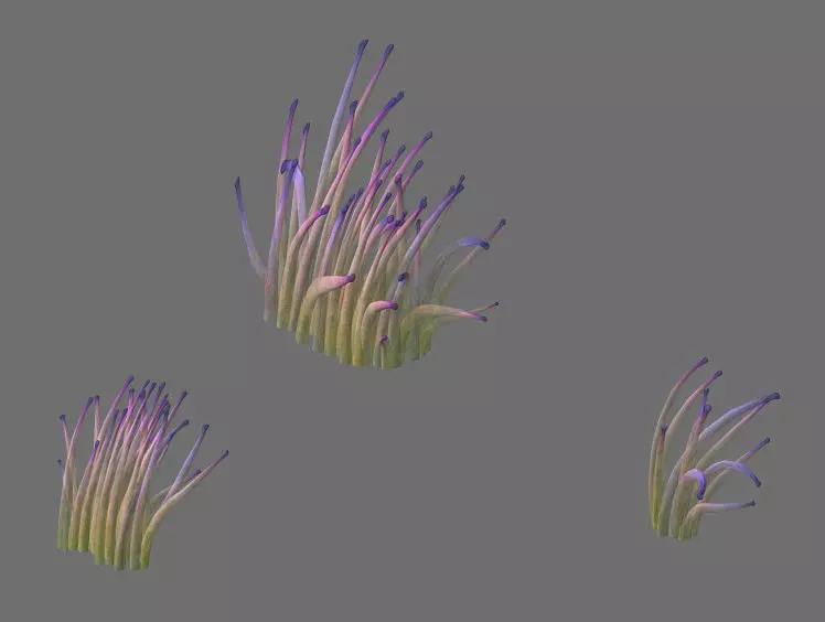 Game Model - Seabed - Bio 02 3D model_0