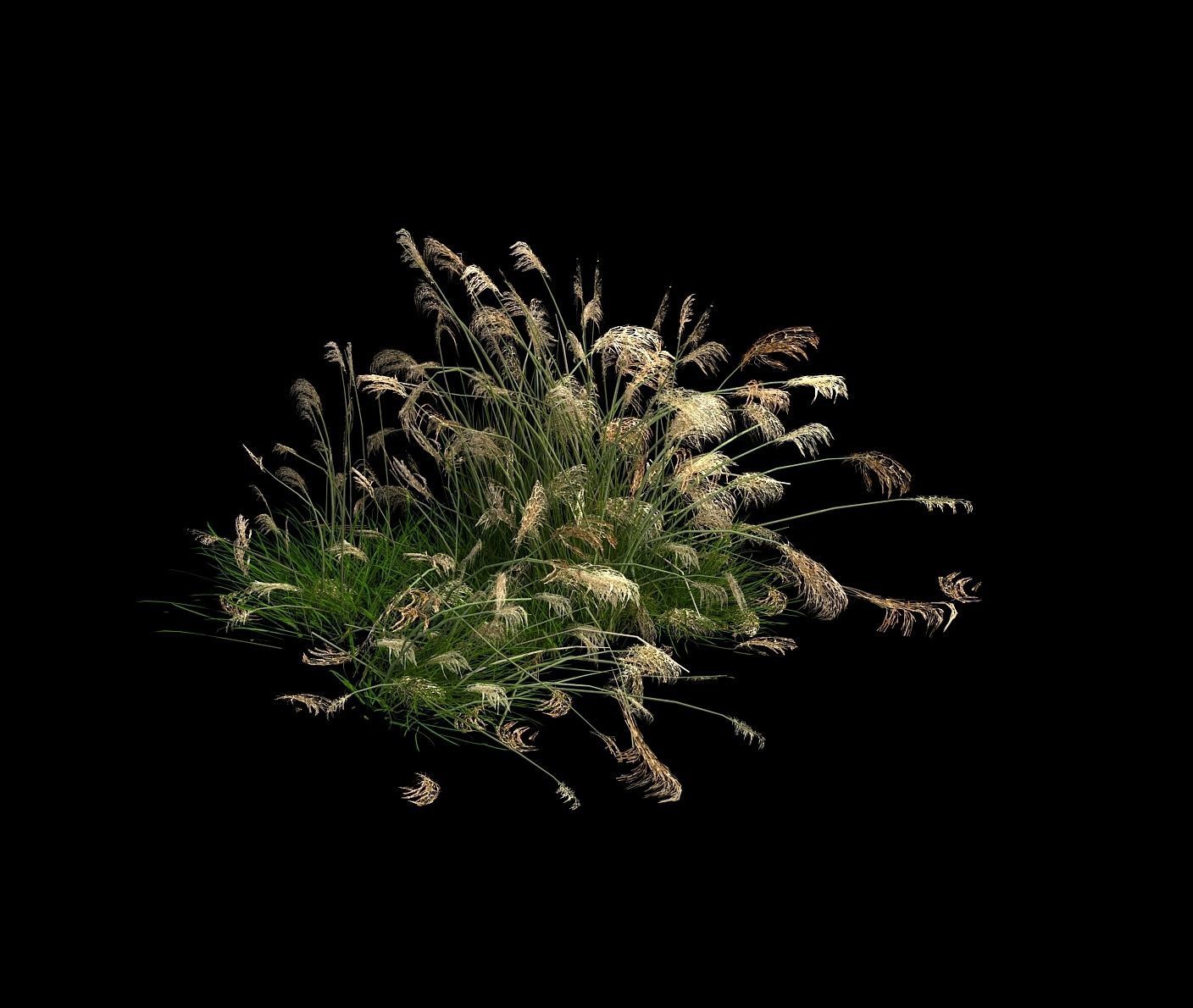 Lakeside Plants - Reed 04 3D model_2