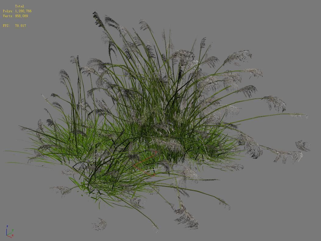 Lakeside Plants - Reed 04 3D model_3