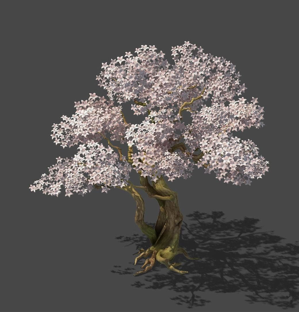 Birch 62 3D model_4