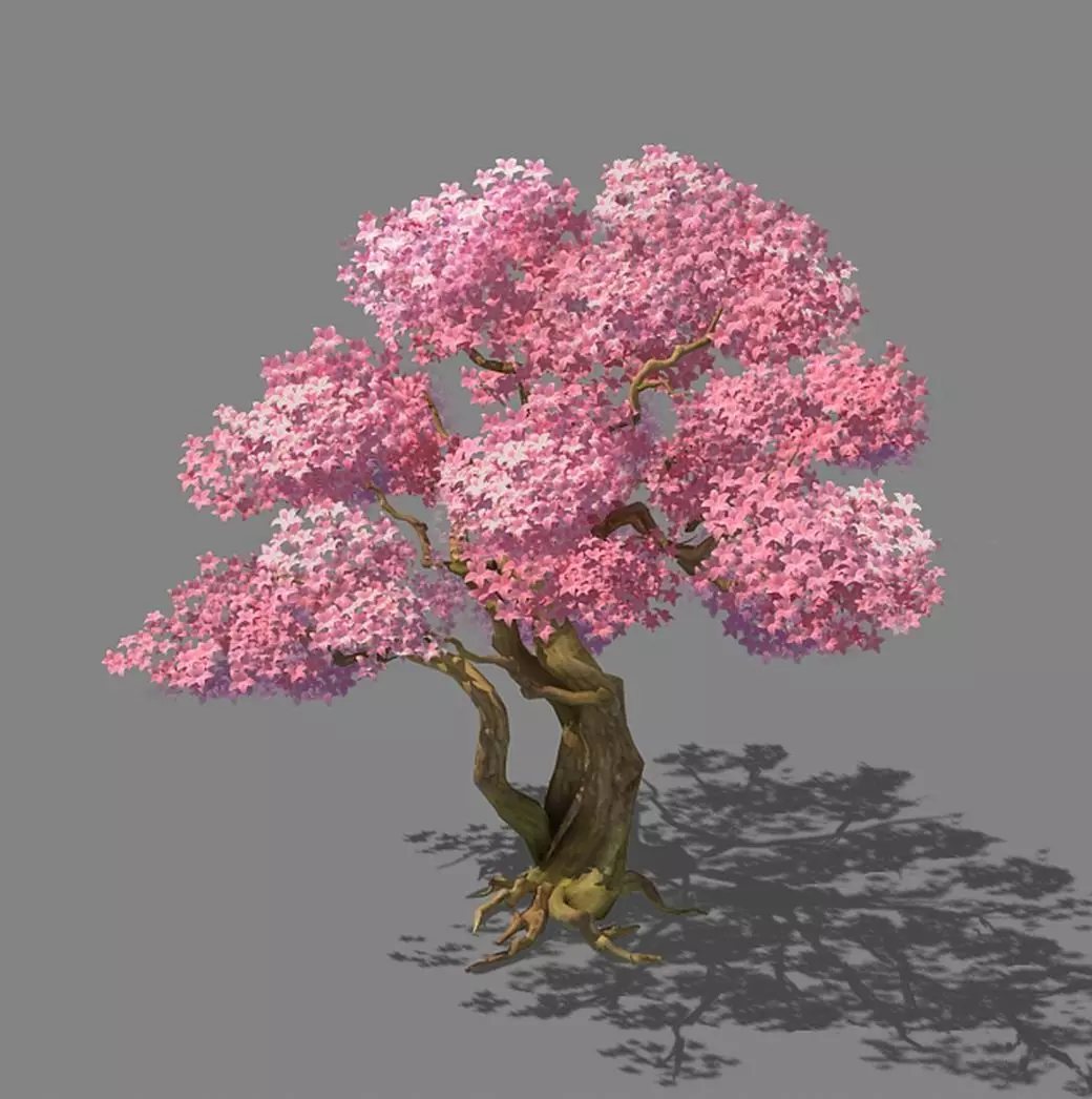 Birch 62 3D model_0