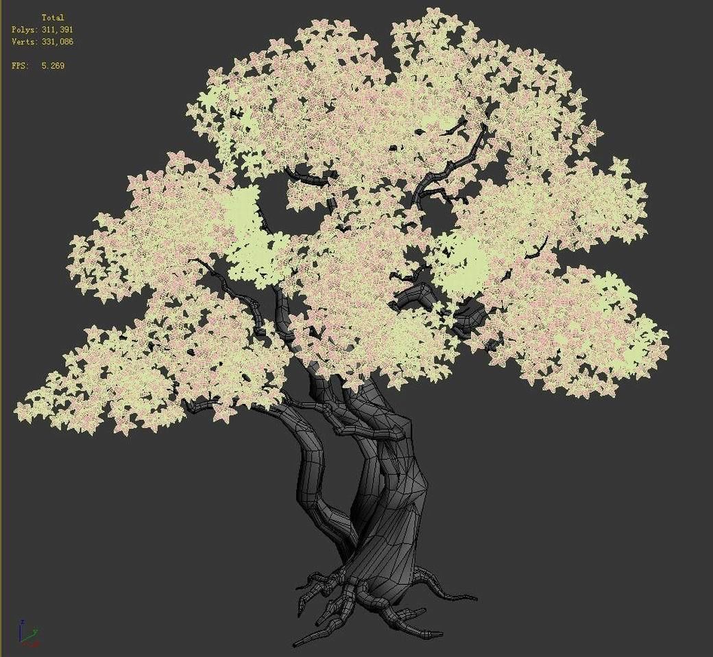 Birch 62 3D model_2