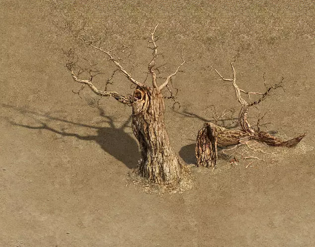 Barracks - desert Dead tree 01 3D model