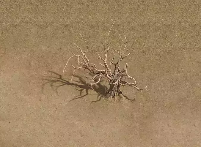 Barracks - desert Dead tree 02