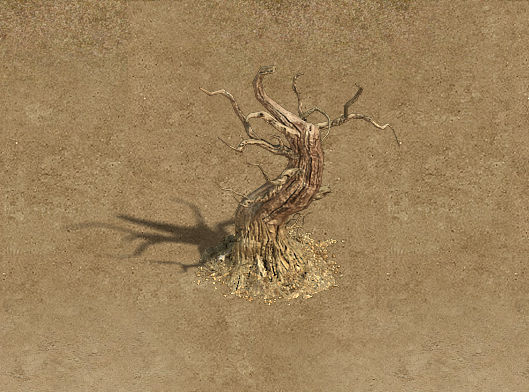 Barracks - desert Dead tree 05 3D model_4