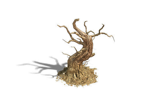 Barracks - desert Dead tree 05 3D model_3