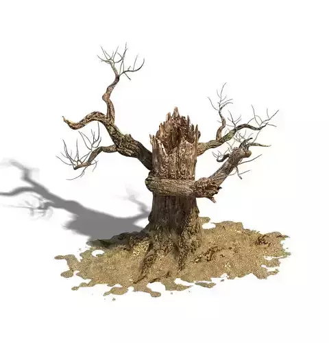 Barracks - desert Dead tree 06 3D model