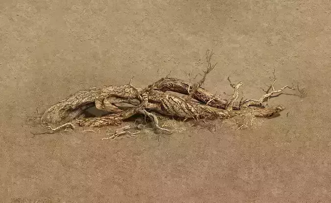 Barracks - desert Dead tree 07