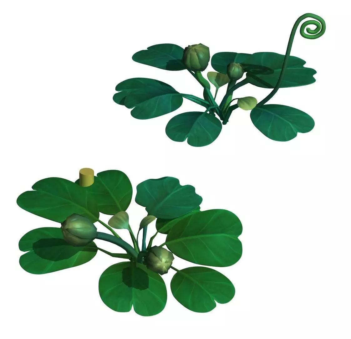 Cartoon forest - tree sea plant 02 3D model