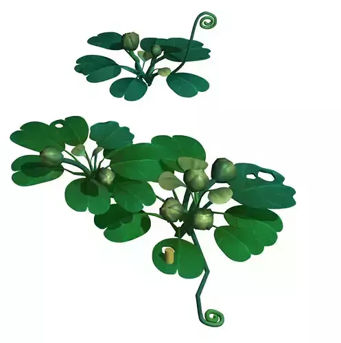 Cartoon Forest - Trees Plant 03