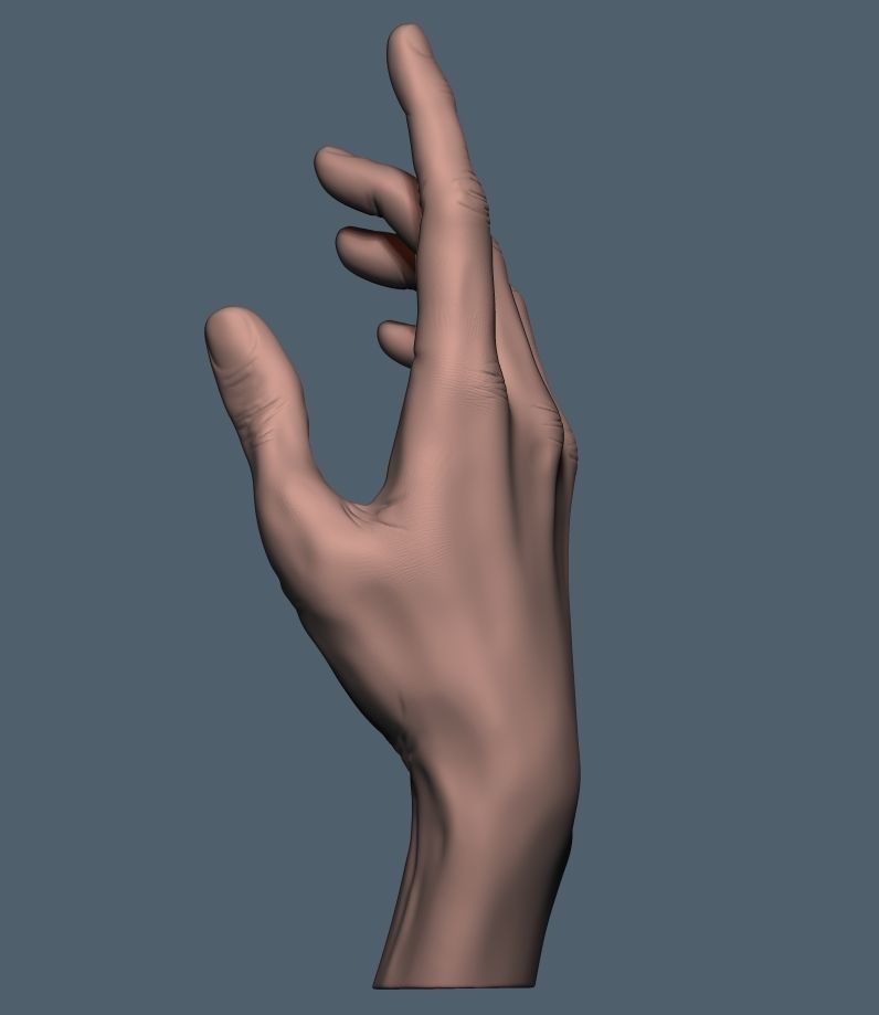 Women hand 3D print model_9