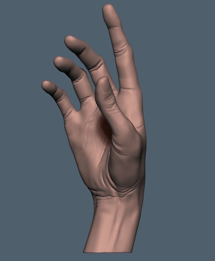 Women hand 3D print model_10