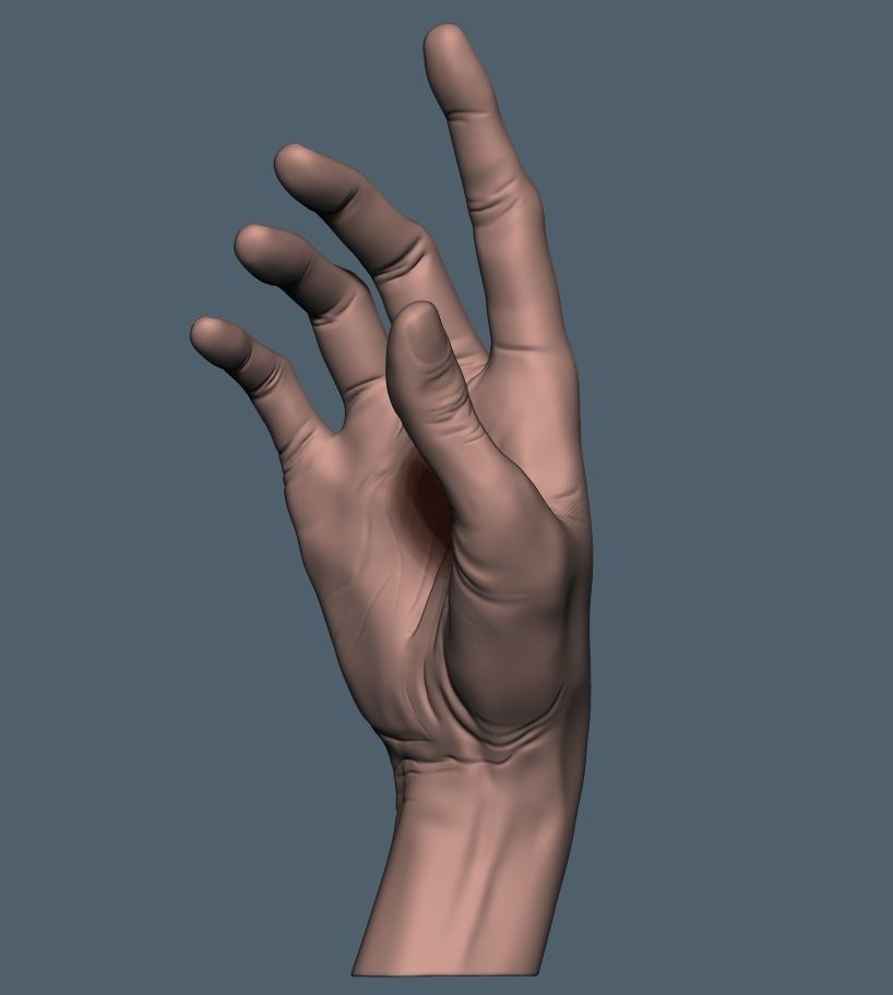 Women hand 3D print model_5
