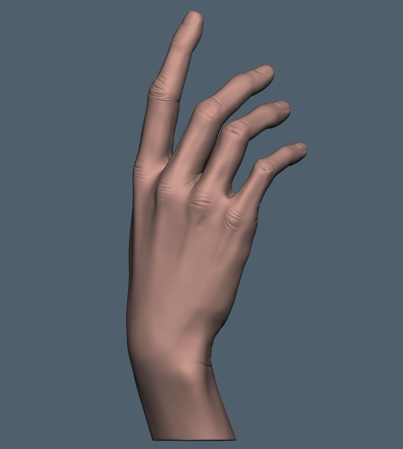 Women hand 3D print model_7