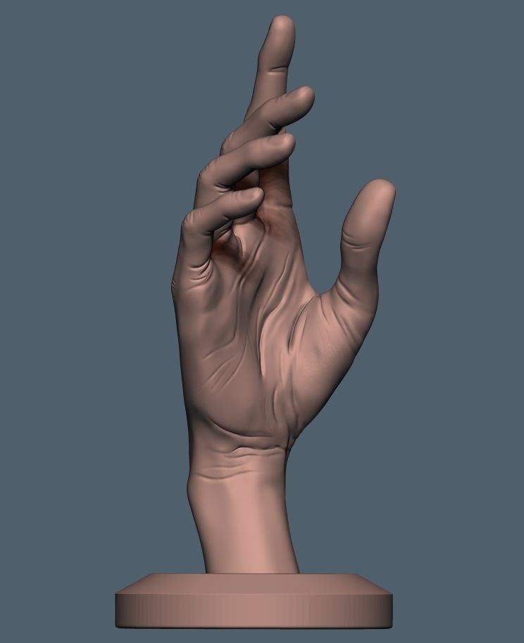 Women hand 3D print model_2
