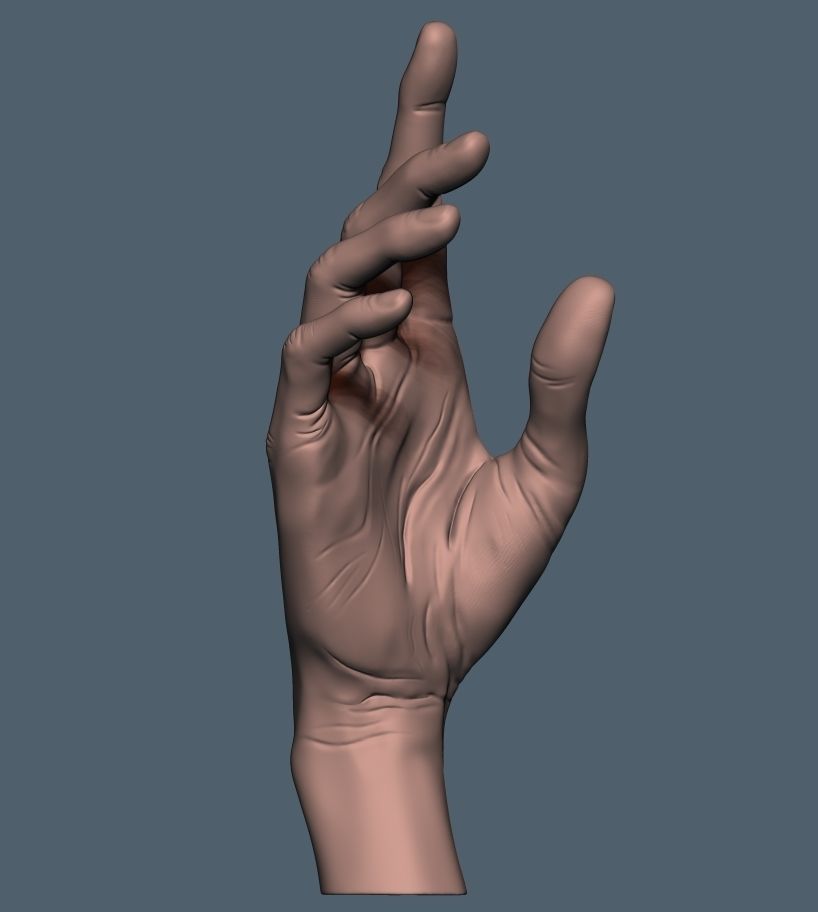 Women hand 3D print model_6