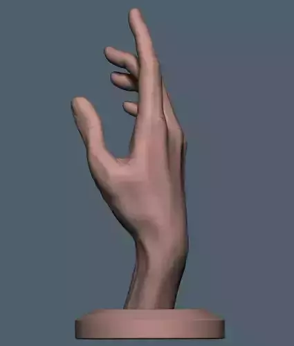 Women hand 3D print model