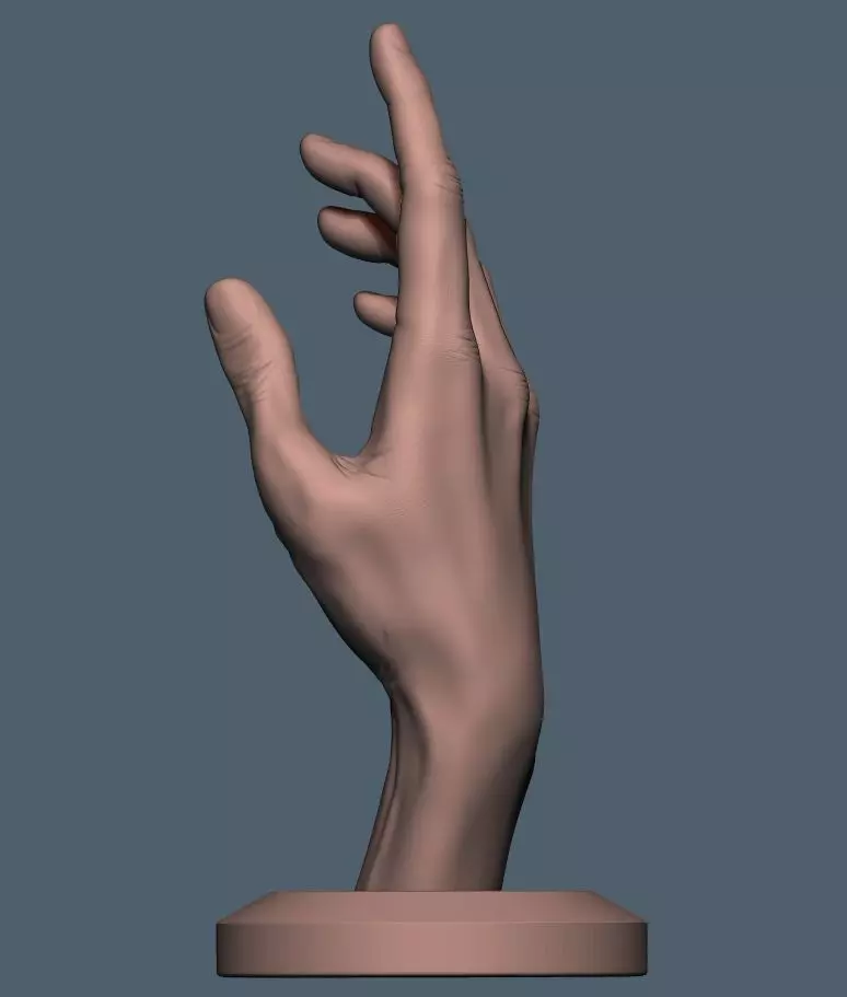 Women hand 3D print model_0