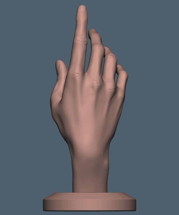 Women hand 3D print model_1