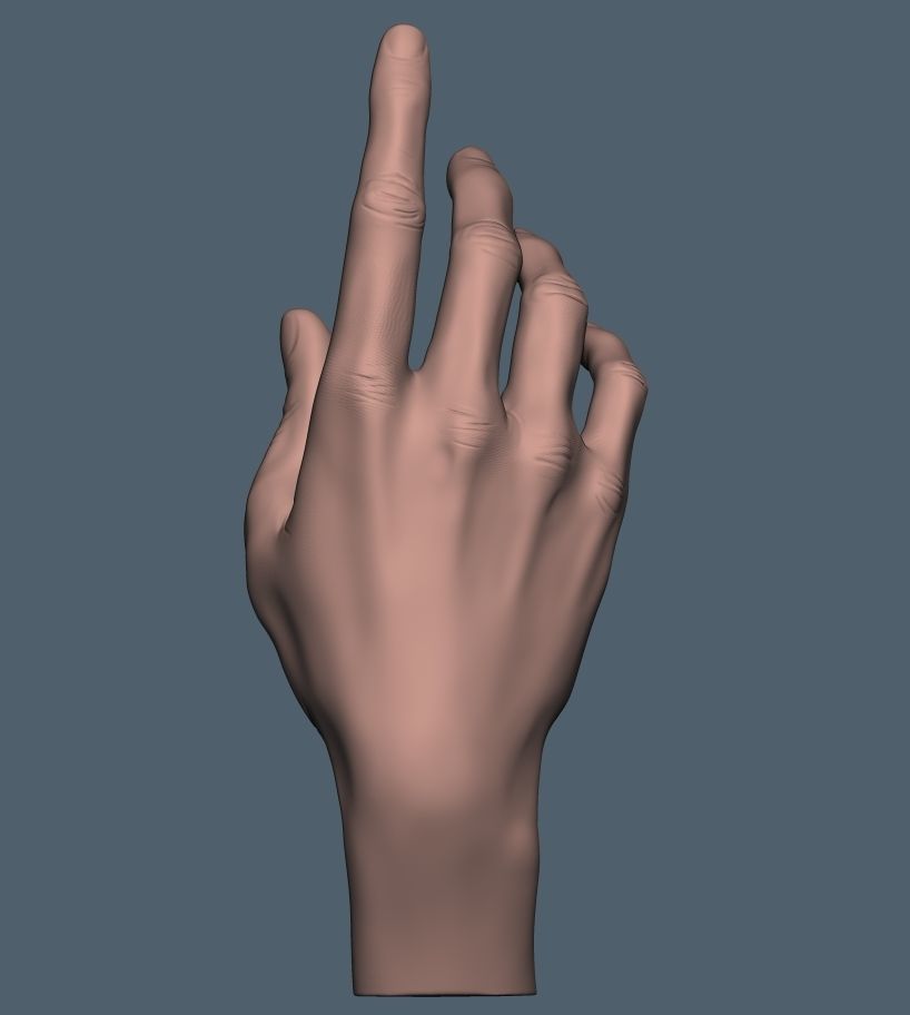 Women hand 3D print model_8