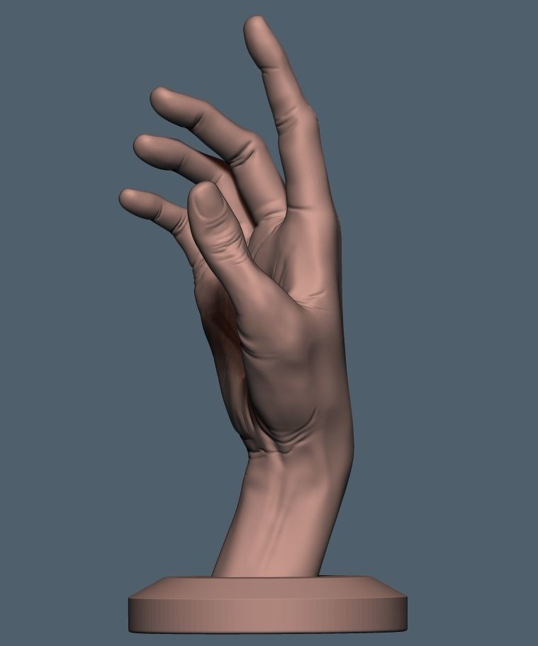 Women hand 3D print model_3
