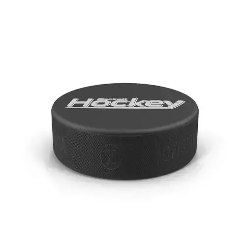 Hockey Puck 2