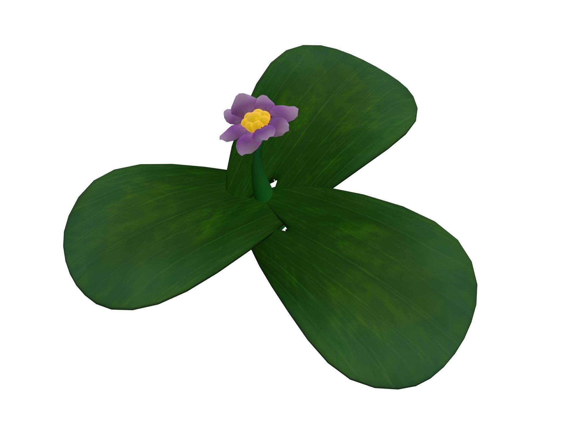 Cartoon plant - clover 3D model_2