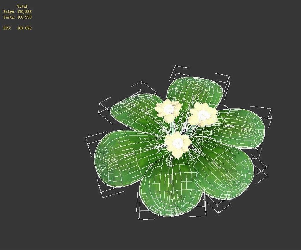 Cartoon plant - clover 3D model_6